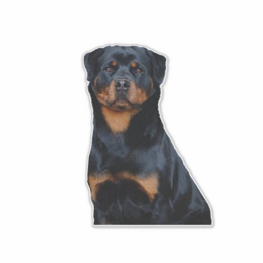 Rottweiler Aufkleber (Vorderseite)