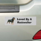 Rottweiler Autoaufkleber (Auf Auto)