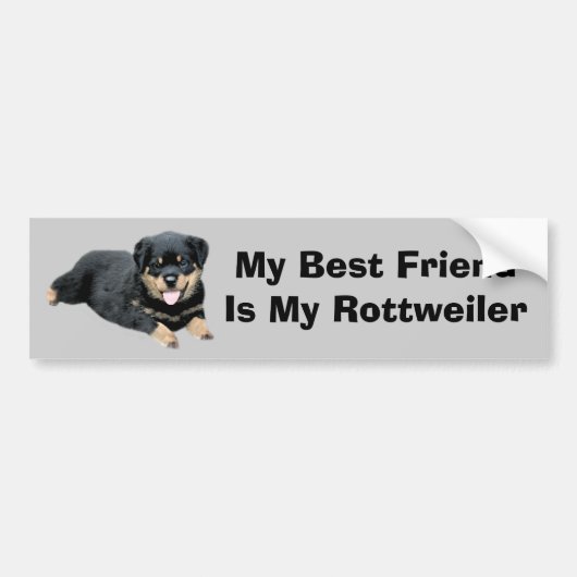 Rottweiler Autoaufkleber (Vorne)
