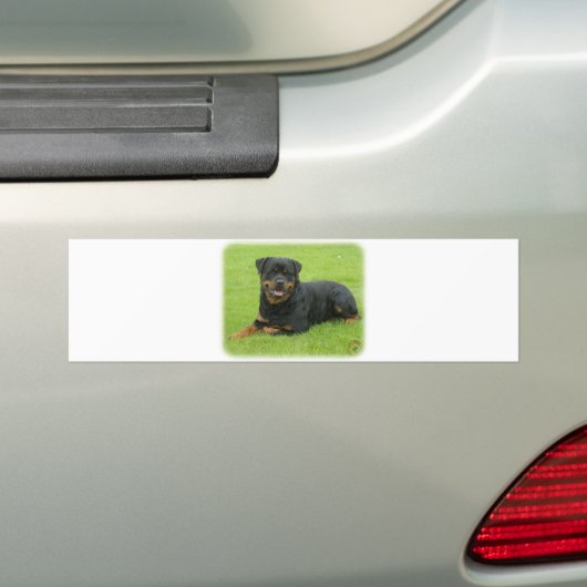 Rottweiler Autoaufkleber (Auf Auto)