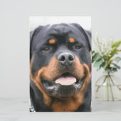 Rottweiler Briefpapier (Stehend Vorderseite)