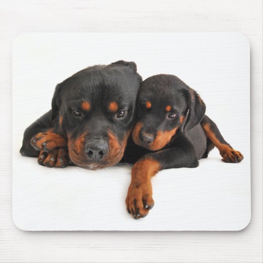 Rottweiler Brown & Black Puppy Hund Liebe Mousepad (Vorne)