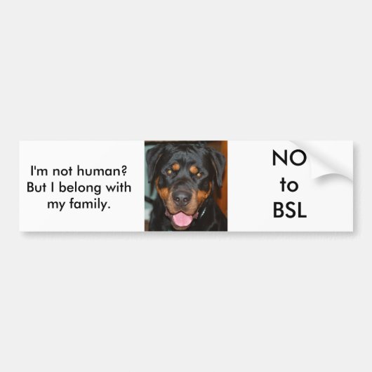 Rottweiler BSL Autoaufkleber (Vorne)