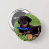 Rottweiler Button (Vorne & Hinten)