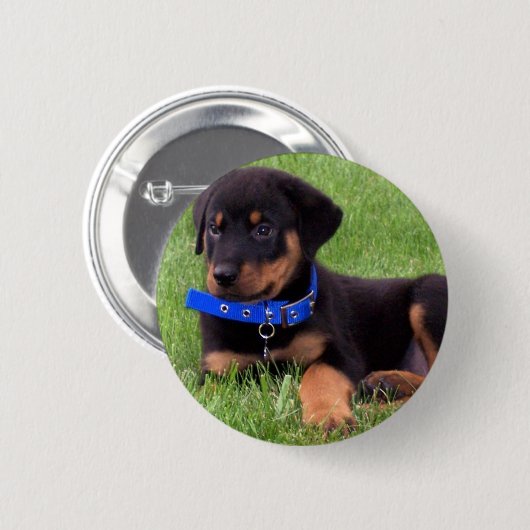 Rottweiler Button (Vorne & Hinten)