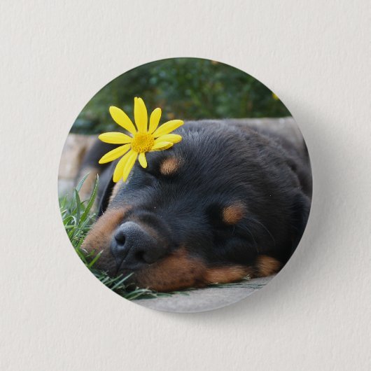 Rottweiler Button (Vorderseite)
