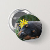Rottweiler Button (Vorne & Hinten)