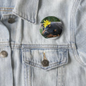 Rottweiler Button (Beispiel)