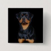 Rottweiler Button (Vorderseite)