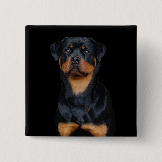 Rottweiler Button (Vorderseite)