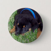 Rottweiler Button (Vorderseite)