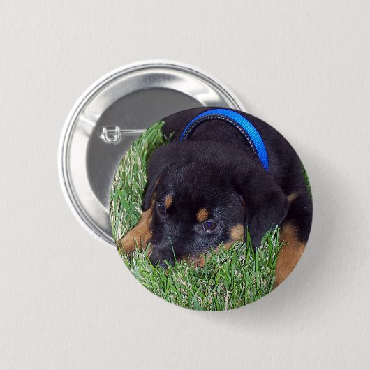 Rottweiler Button (Vorne & Hinten)