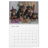 Rottweiler Calendar Kalender (Jan 2027)