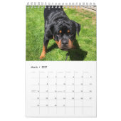 Rottweiler Calendar  Kalender (Mär 2027)
