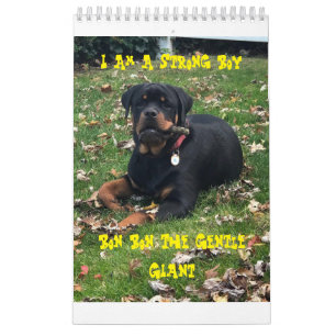 Rottweiler Calendar Kalender