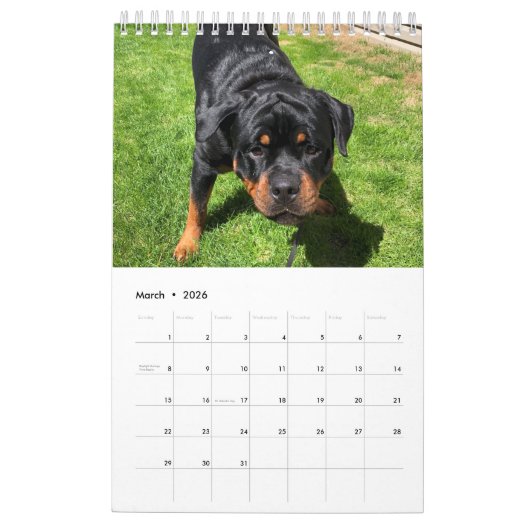 Rottweiler Calendar Kalender (Mär 2026)