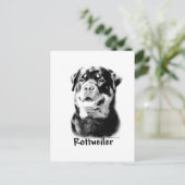 Rottweiler Charcoal Postkarte (Stehend Vorderseite)