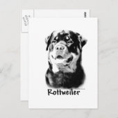 Rottweiler Charcoal Postkarte (Vorne/Hinten)