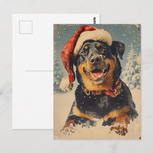 Rottweiler Christmas Postkarte (Vorne/Hinten)
