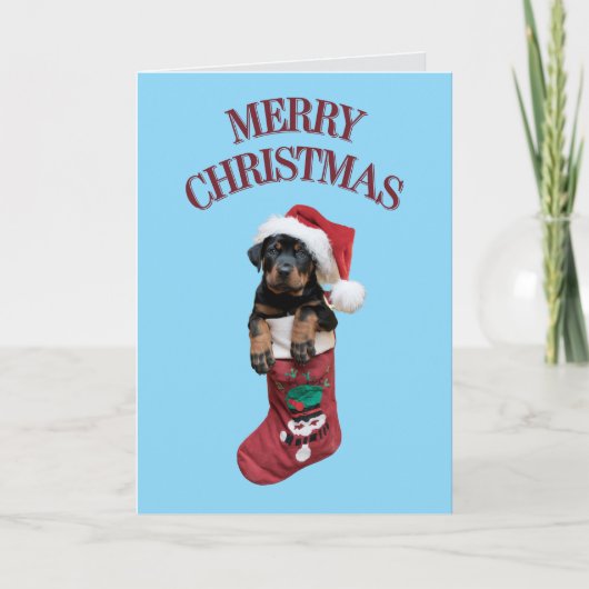 Rottweiler Christmas Strumpf Feiertagskarte (Vorderseite)