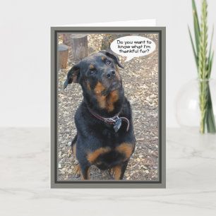 Rottweiler Dankeschön für Ihre Erntedank Card Feiertagskarte