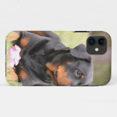 Rottweiler Dog Case-Mate iPhone Hülle (Rückseite (Horizontal))