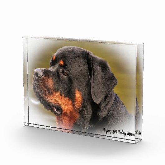 Rottweiler Dog Fotoblock (Rechts)