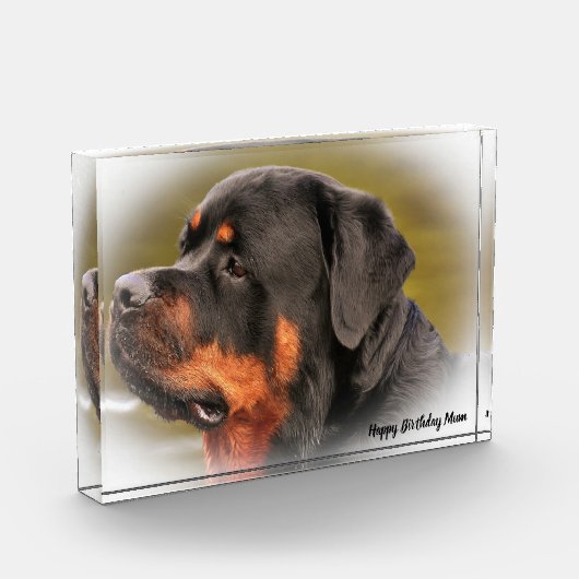 Rottweiler Dog Fotoblock (Links)