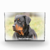 Rottweiler Dog Fotoblock (Vorderseite)