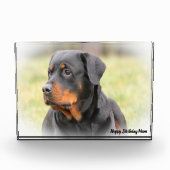 Rottweiler Dog Fotoblock (Vorderseite)