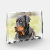 Rottweiler Dog Fotoblock (Links)