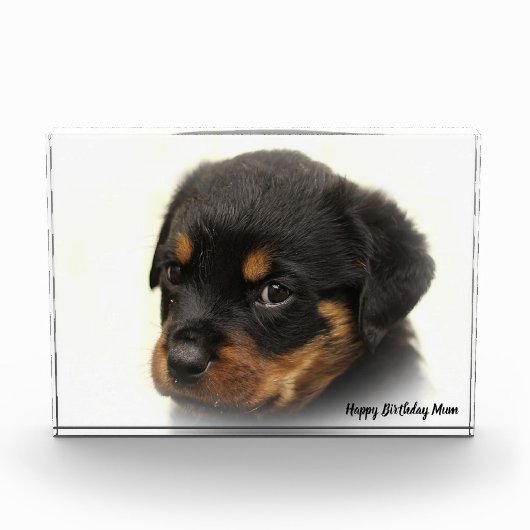 Rottweiler Dog Fotoblock (Vorderseite)