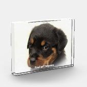 Rottweiler Dog Fotoblock (Links)