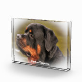 Rottweiler Dog Fotoblock (Rechts)