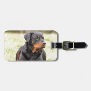 Rottweiler Dog Gepäckanhänger
