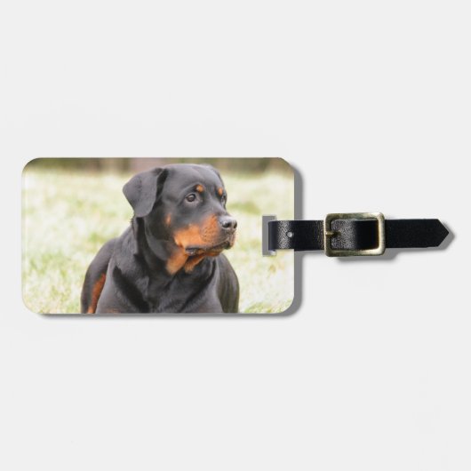 Rottweiler Dog Gepäckanhänger (Vorderseite horizontal)