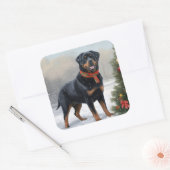 Rottweiler Dog in Schnee Weihnachten Quadratischer Aufkleber (Umschlag)