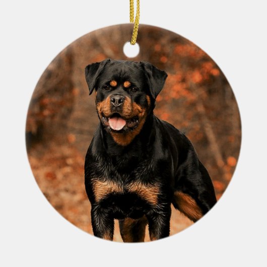 Rottweiler Dog Keramik Ornament (Vorne)