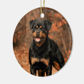 Rottweiler Dog Keramik Ornament (Links)