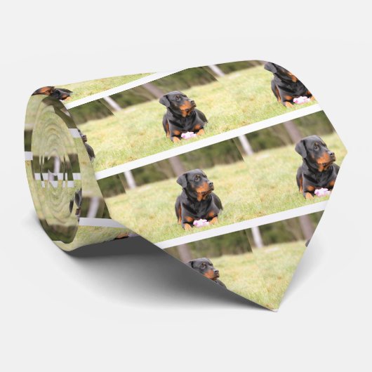 Rottweiler Dog Krawatte (Gerollt)