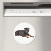 ROTTWEILER DOG KÜHLSCHRANKMAGNET (In Situ (Geschirrspüler))