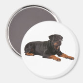 ROTTWEILER DOG KÜHLSCHRANKMAGNET (Vorderseite/Rückseite)