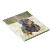 Rottweiler Dog Notizblock (angewinkelt)