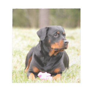Rottweiler Dog Notizblock