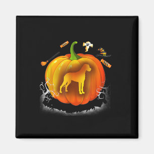 Rottweiler dog Pumpkin Costume Halloween Magnet