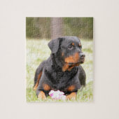 Rottweiler Dog Puzzle (Vertikal)