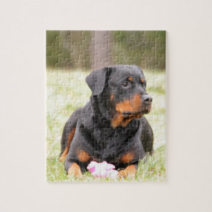 Rottweiler Dog Puzzle