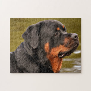 Rottweiler Dog Puzzle