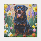 Rottweiler Dog Spring Flowers Malerei Magnet (Vorne)