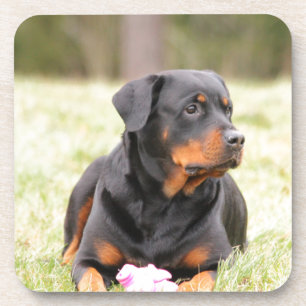 Rottweiler Dog Untersetzer